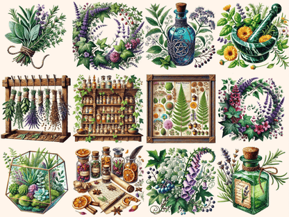 Botany & Apothecary Clipart apothecary png autopost botany clipart - WondersArtist