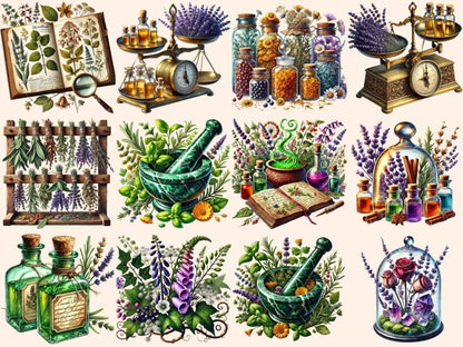Botany & Apothecary Clipart apothecary png - Wonders Artist