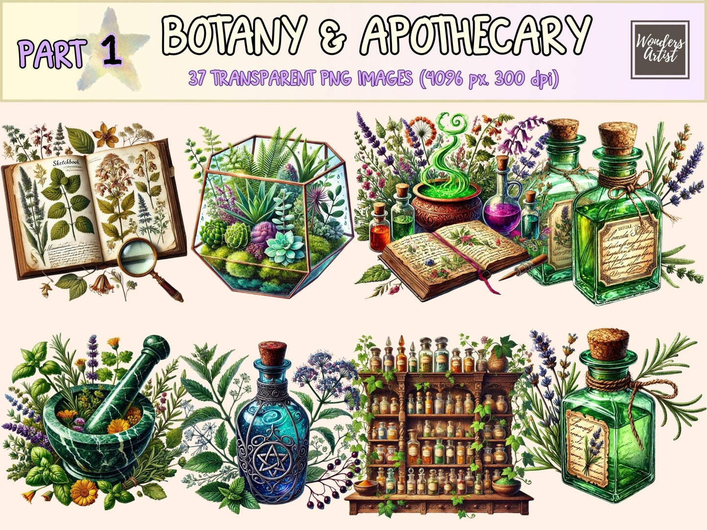 Botany & Apothecary Clipart - High - Quality Instant Digital Download for Creative Projects