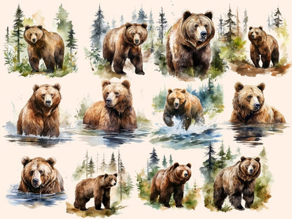 Brown Bears Watercolor Clipart baby bear clipart - Wonders Artist