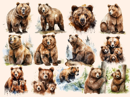 Brown Bears Watercolor Clipart baby bear clipart - Wonders Artist
