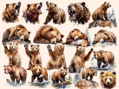 Brown Bears Watercolor Clipart baby bear clipart - Wonders Artist