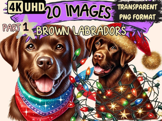 Brown Labradors Clipart - High - Quality Instant Digital Download for Creative Projects