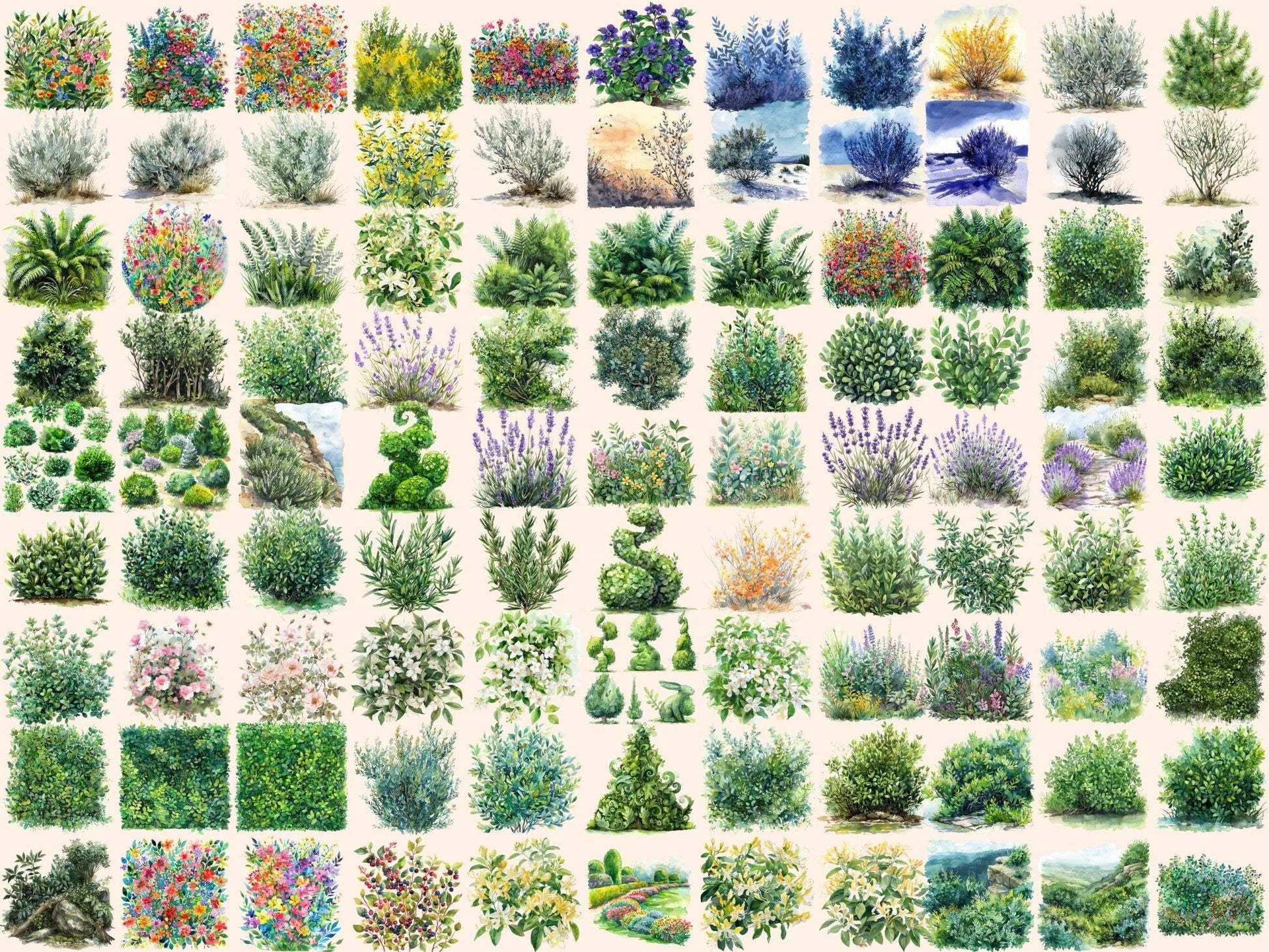 Bushes Watercolor Clipart - High - Quality Instant Digital Download for Creative Projects