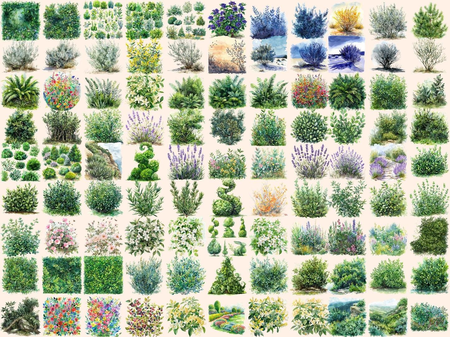 Bushes Watercolor Clipart - High - Quality Instant Digital Download for Creative Projects