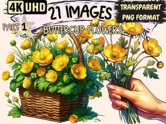 Buttercup Flowers Clipart buttercup clipart - Wonders Artist