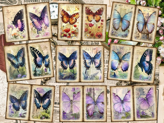 Páginas do Diário das Borboletas