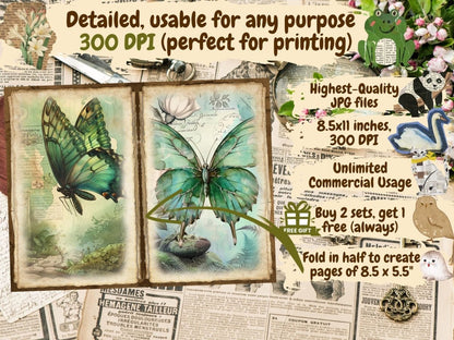 Butterflies Journal Pages (P5) Butterfly Collage - Wonders Artist