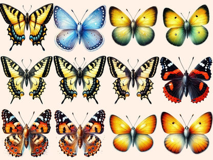 Butterflies (P1) Clipart Butterflies - Wonders Artist
