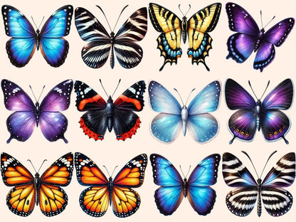 Butterflies (P1) Clipart Butterflies - Wonders Artist