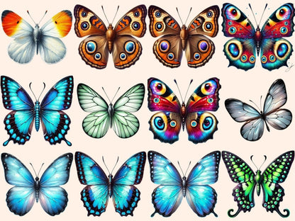 Butterflies (P2) Clipart Butterflies - Wonders Artist