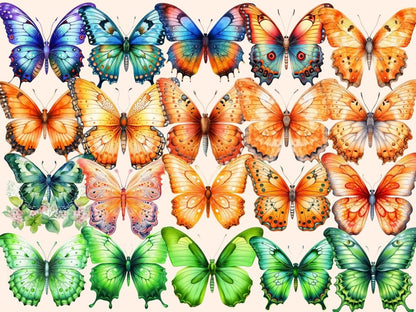 Butterflies Watercolor Clipart butterflies clipart - Wonders Artist