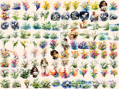 Calla Flowers Watercolor Clipart calla clipart - Wonders Artist