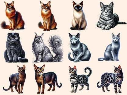 Cats Clipart animal icons - Wonders Artist