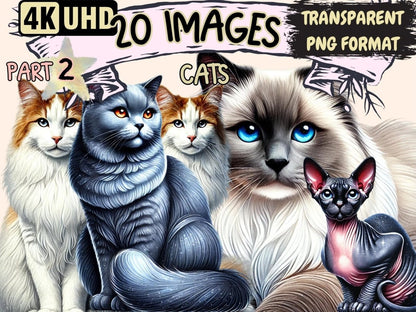 Cats (P2) Clipart animal icons - Wonders Artist