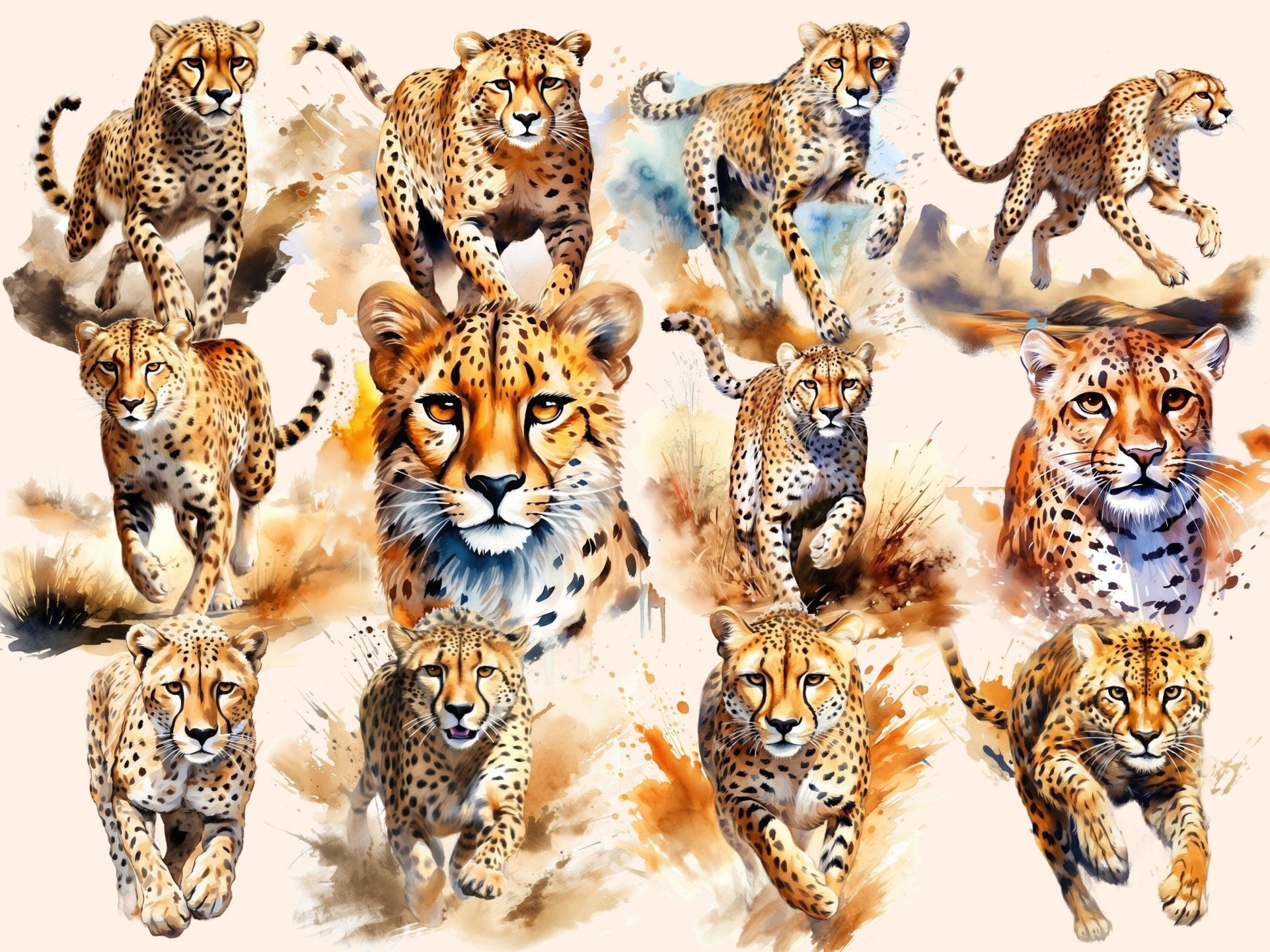 Cheetah Watercolor Clipart - High - Quality Instant Digital Download for Creative Projects