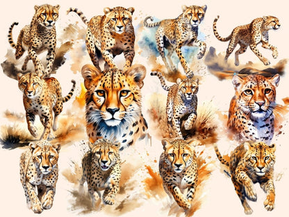 Cheetah Watercolor Clipart cheetah clipart - Wonders Artist