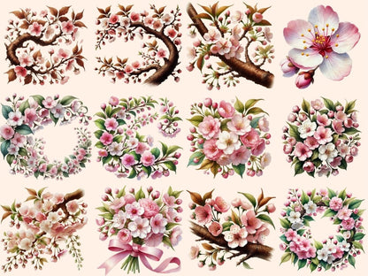 Cherry Blossoms Clipart blossom flowers png - Wonders Artist