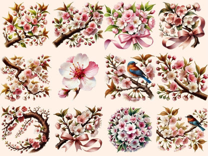 Cherry Blossoms Clipart blossom flowers png - Wonders Artist