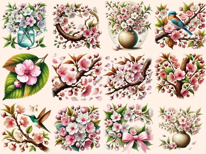 Cherry Blossoms (P2) Clipart blossom flowers png - Wonders Artist
