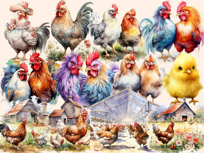 Chickens Watercolor Clipart bird clipart - Wonders Artist