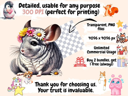 Chinchillas Clipart Adorable Chinchilla - Wonders Artist