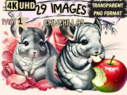 Chinchillas Clipart Adorable Chinchilla - Wonders Artist