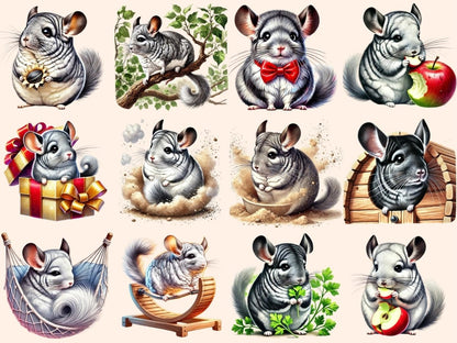 Chinchillas Clipart Adorable Chinchilla - Wonders Artist