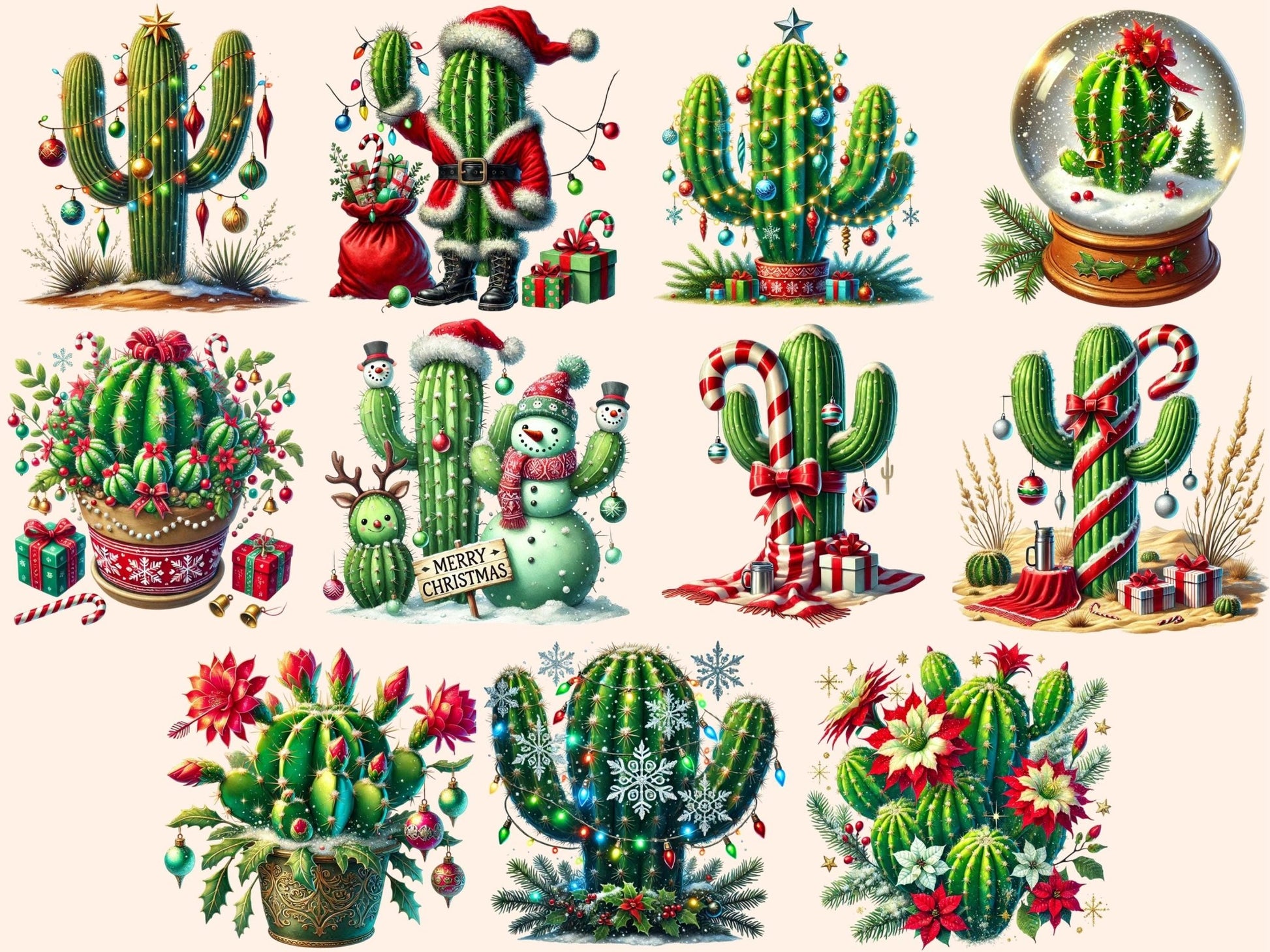 Christmas Cactus (P2) Clipart - High - Quality Instant Digital Download for Creative Projects