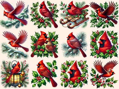 Christmas Cardinals Clipart cardinal bird png - Wonders Artist