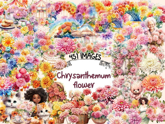 Krysantemum Blomster Akvarell Clipart