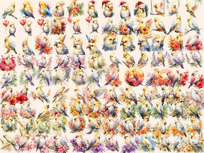 Cockatiel Watercolor Clipart bird clipart - Wonders Artist