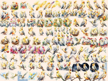 Cockatiel Watercolor Clipart bird clipart - Wonders Artist