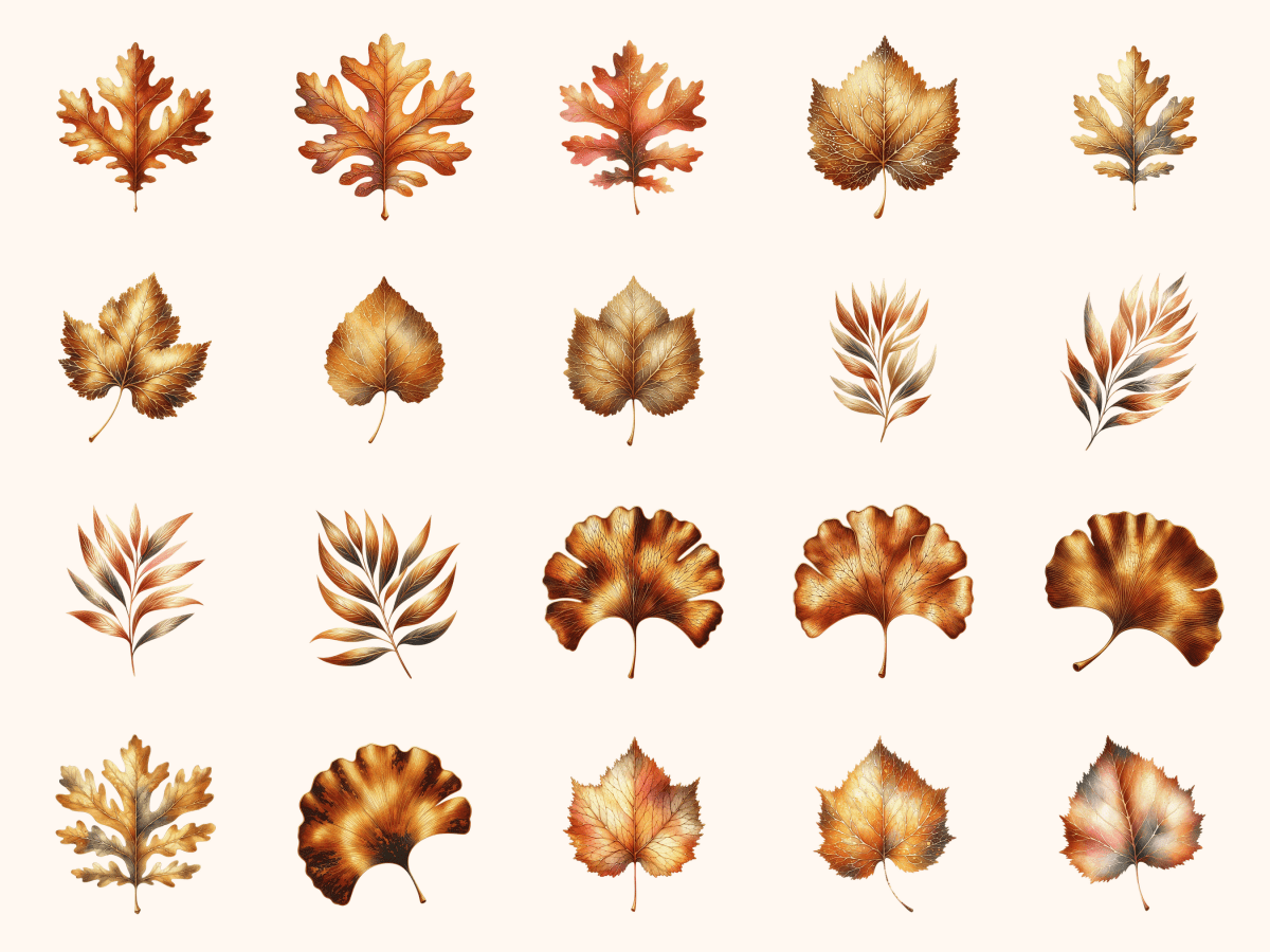 Copper & Gold Leaves Clipart All Bundles Clipart Line Art - WondersArtist