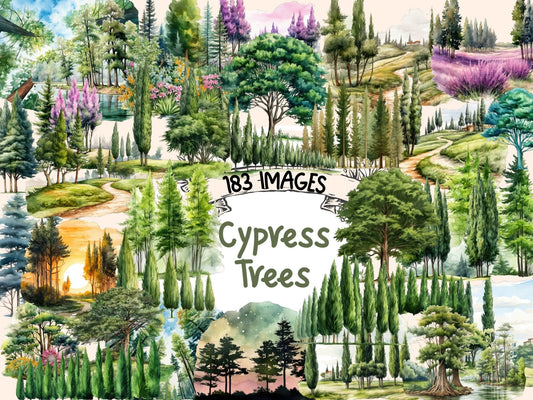 Cypress Trees Watercolor Clipart - High - Quality Instant Digital Download for Creative Projects