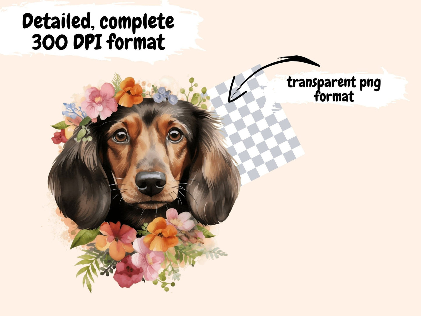 Dachshunds Watercolor Clipart - High - Quality Instant Digital Download for Creative Projects