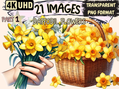 Daffodil Flowers Clipart daffodil clip art - Wonders Artist