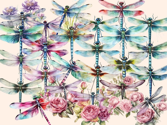 Dragefluer Akvarell Clipart