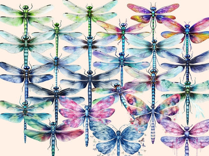 Dragonflies Watercolor Clipart dragonflies clipart - Wonders Artist