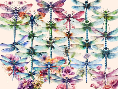 Dragonflies Watercolor Clipart dragonflies clipart - Wonders Artist