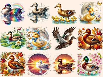 Ducks Clipart bird design - Wonders Artist