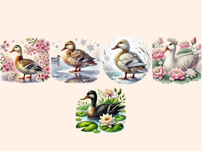 Ducks Clipart bird design - Wonders Artist