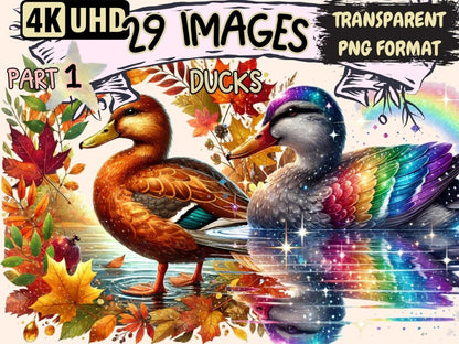Ducks Clipart bird design - Wonders Artist