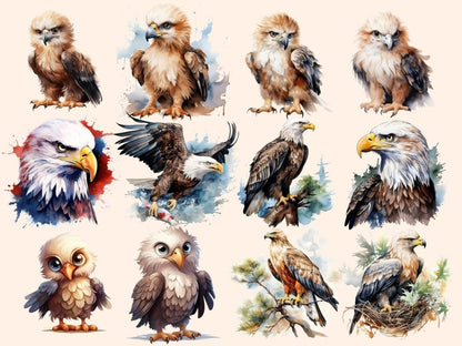 Eagles Watercolor Clipart bald eagle clipart - Wonders Artist
