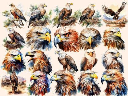 Eagles Watercolor Clipart bald eagle clipart - Wonders Artist