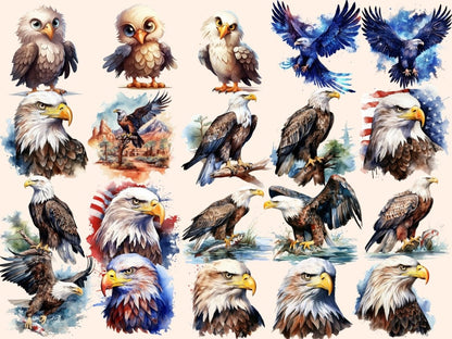 Eagles Watercolor Clipart bald eagle clipart - Wonders Artist