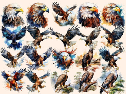 Eagles Watercolor Clipart bald eagle clipart - Wonders Artist