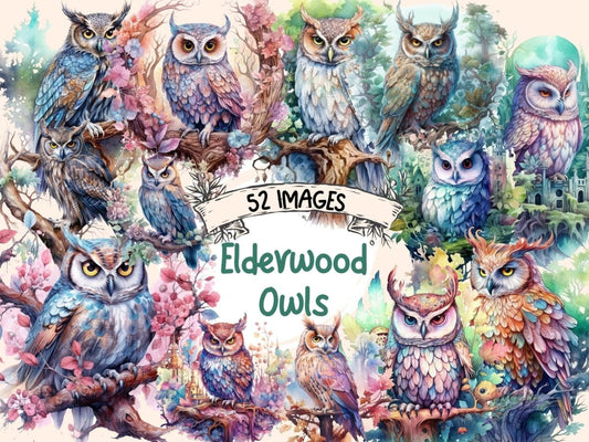Elderwood Owls Watercolor Clipart fairy owl - Wonders Artist