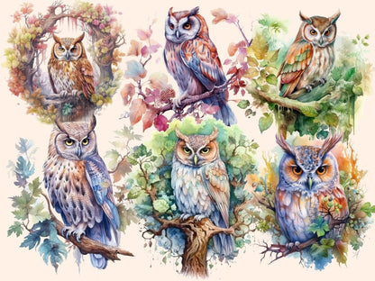 Elderwood Owls Watercolor Clipart fairy owl - Wonders Artist