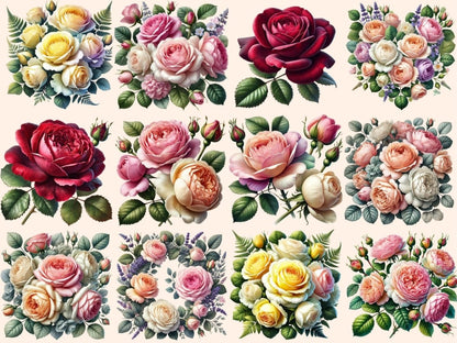 English Roses Clipart blooming roses png - Wonders Artist